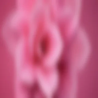 pink wallpapers for iphone