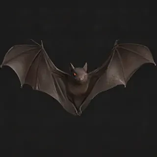 bat png