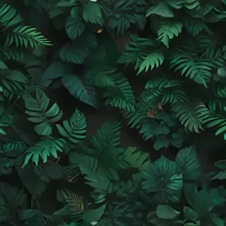 aesthetic green wallpapers
