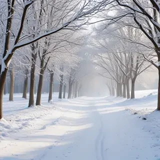 winter zoom background