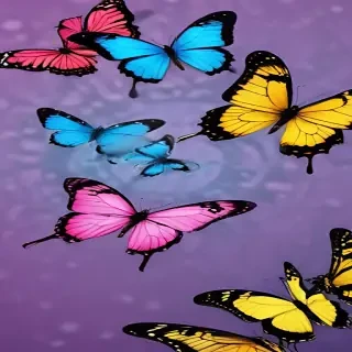 butterfly pic wallpaper
