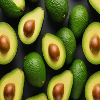 avocado background