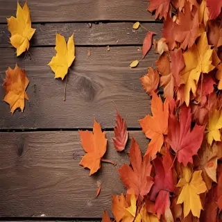 autumn leaves iphone wallpaper
