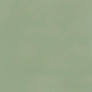 sage green wallpaper iphone