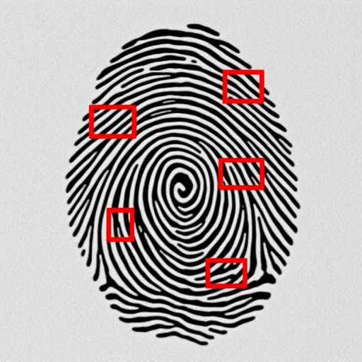 Create an image of a fingerprint with five highlighted rectangular areas in red, using a DSLR camera with a 100mm macro lens, aperture f/8, ISO 200, shutter speed 1/250s, viewed from above for sharp detail and clarity.