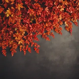 fall iphone wallpaper