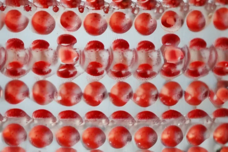 polka dots transparent