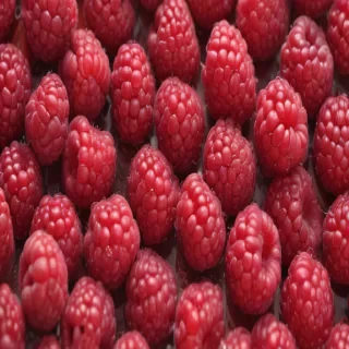 cartoon raspberry