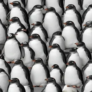 penguin backgrounds