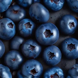blueberry png