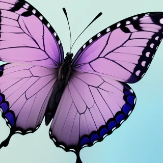 purple butterfly