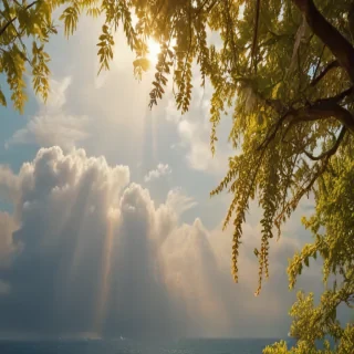 summer background