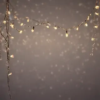 fairy lights png