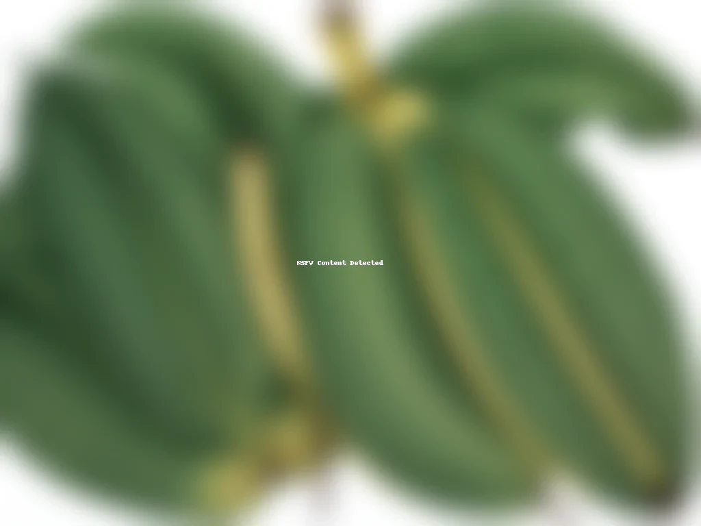 banana leaf png