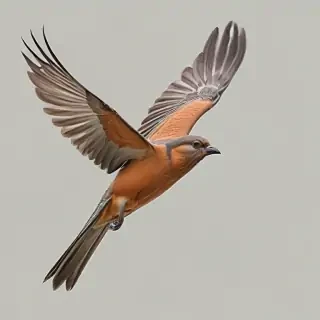 bird flying png