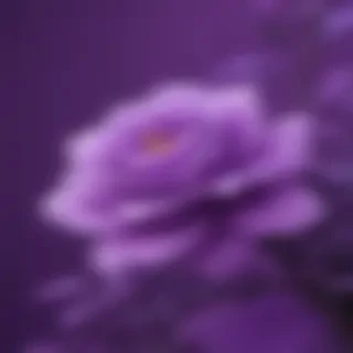 cute wallpapers purple