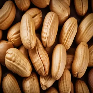 peanut png
