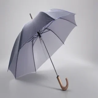 umbrella transparent background