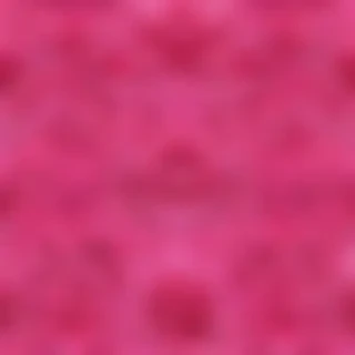 hot pink wallpaper iphone