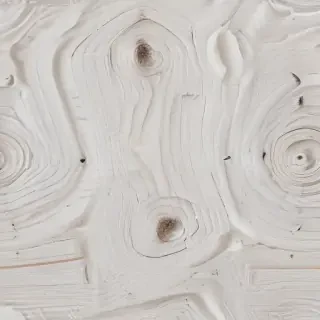 texture white wood