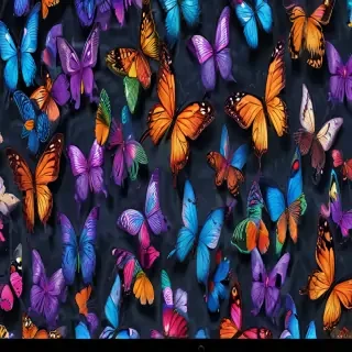 butterfly screensavers
