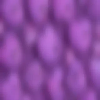 cute purple wallpaper for iphone