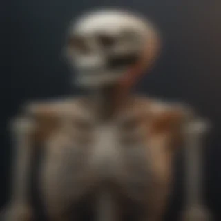 skeleton wallpaper