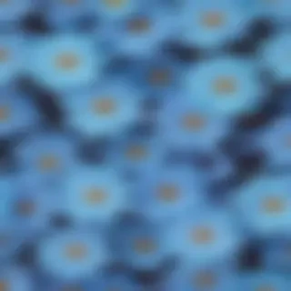 blue flower wallpaper aesthetic