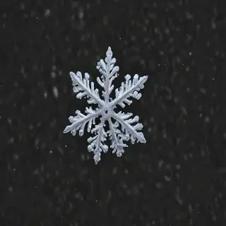 snow pngs