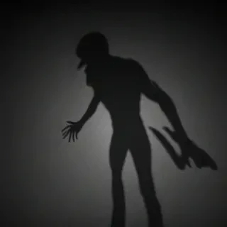 wallpaper shadow