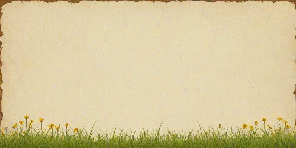 border bg