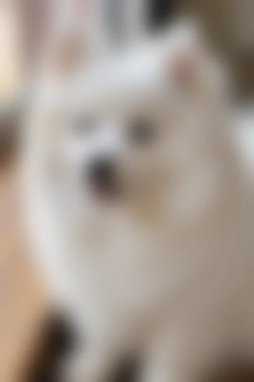 japanese spitz dog breed