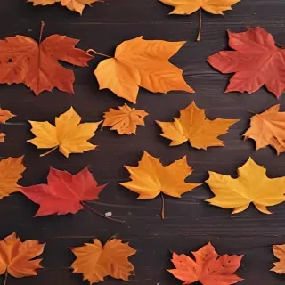fall wallpaper iphone