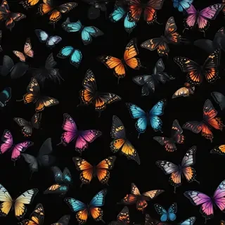 butterflies in black background