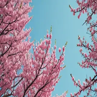 aesthetic wallpaper spring