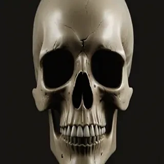 skull face png