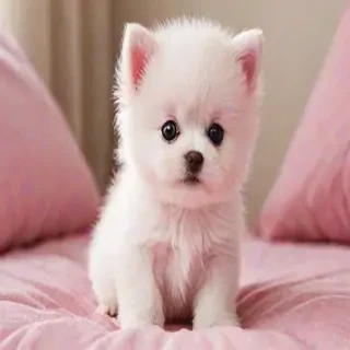 pink cute pics