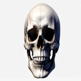 skull transparent background
