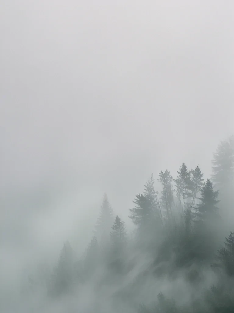 fog transparent background