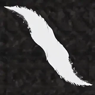 white border png