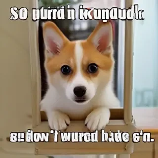 funny picture
