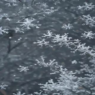 snow transparent