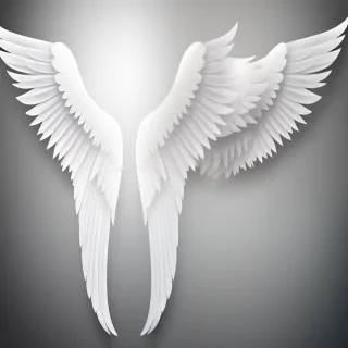 angel wings transparent background