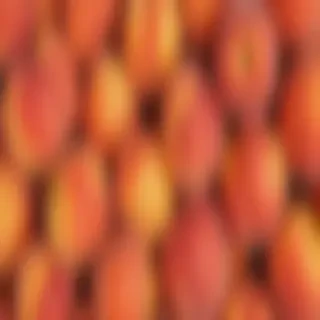 peaches background
