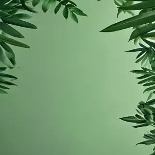 aesthetic green background