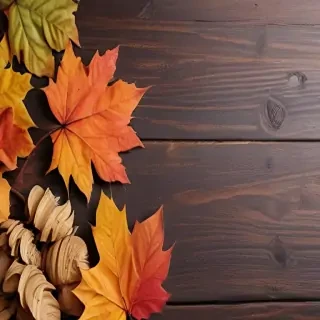 iphone wallpaper fall