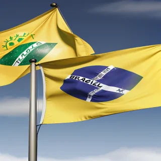 brazil flag png