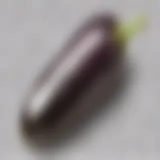 eggplant png