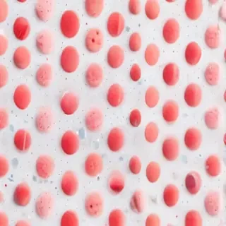 polka dots transparent