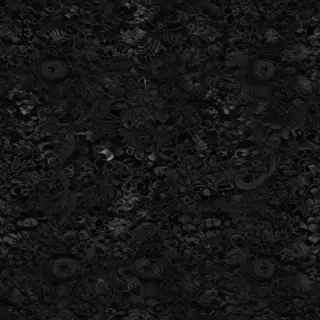 black lace png